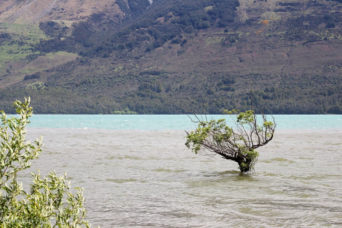 IMG_0473.jpg IMG_0473.jpg