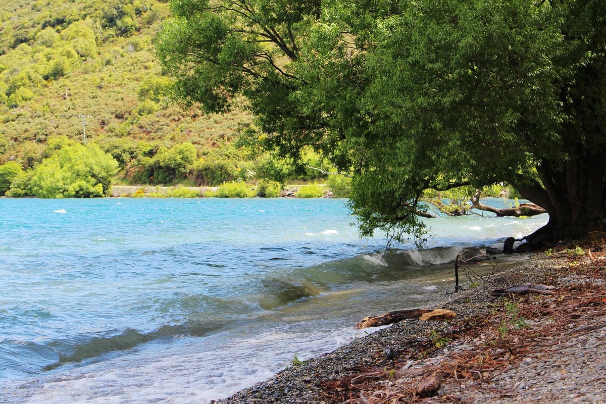 IMG_0458.jpg IMG_0458.jpg