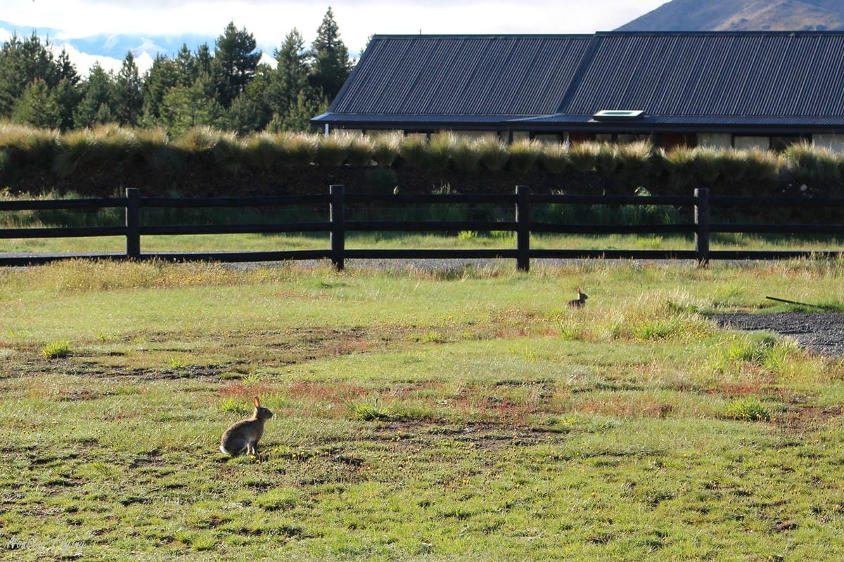 IMG_0961.jpg IMG_0961.jpg