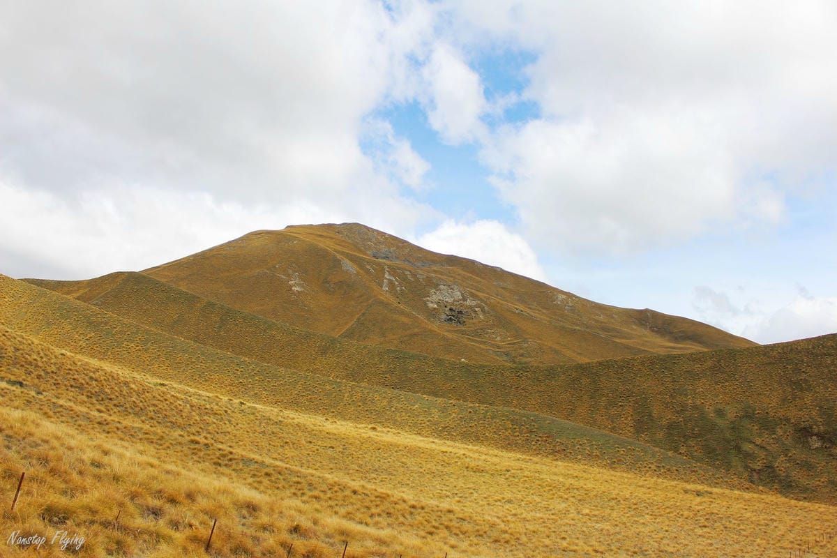 IMG_0803.jpg IMG_0803.jpg