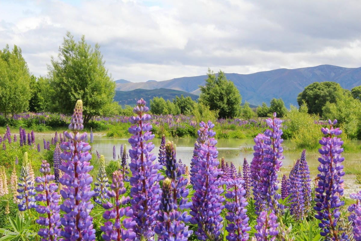 IMG_0823.jpg IMG_0823.jpg