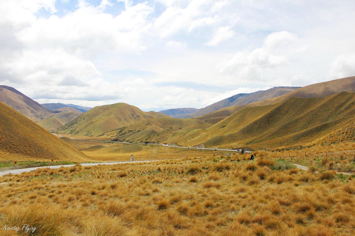 IMG_0801.jpg IMG_0801.jpg