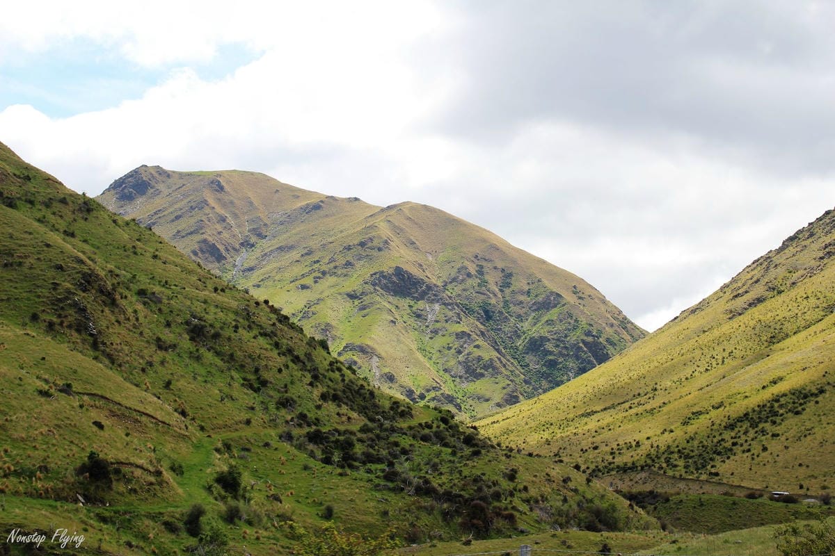 IMG_0794.jpg IMG_0794.jpg