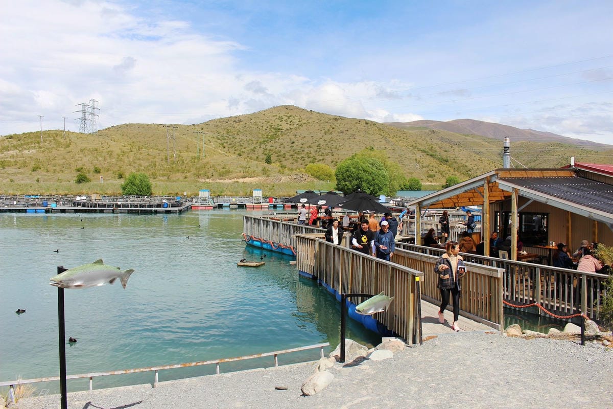 IMG_0846.jpg IMG_0846.jpg