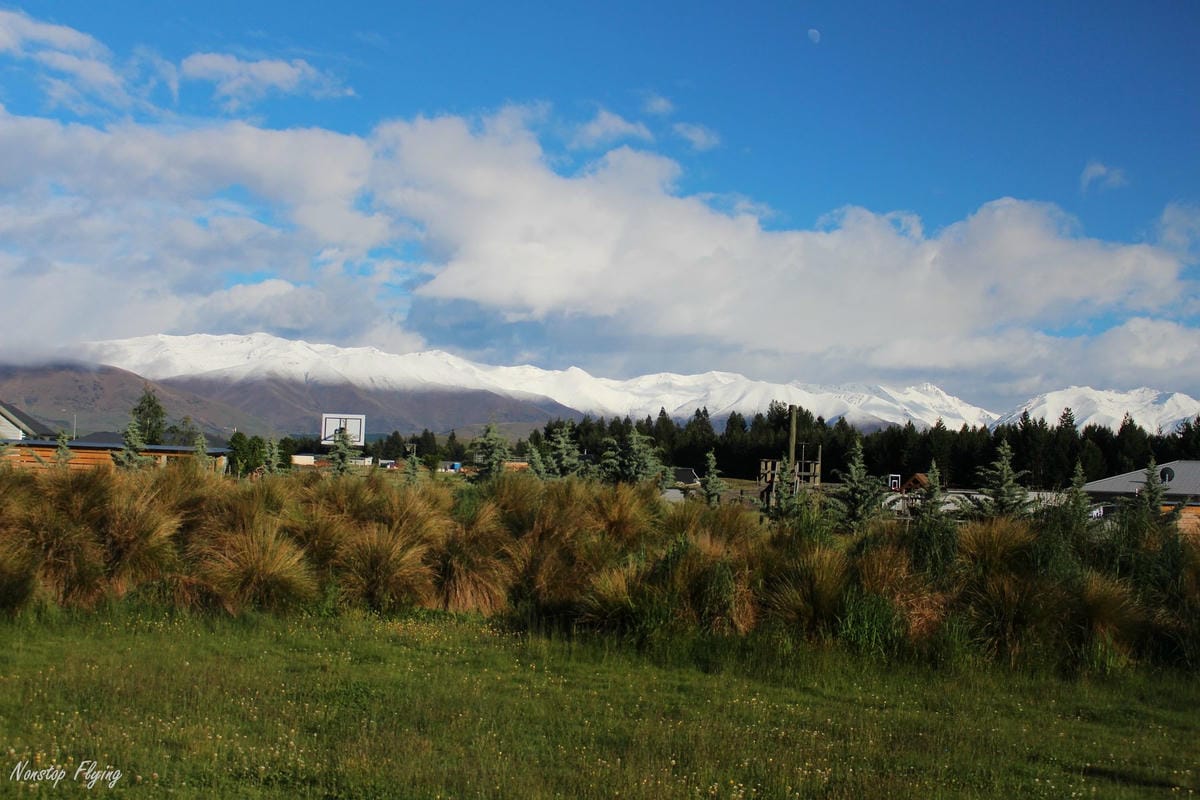 IMG_0965.jpg IMG_0965.jpg