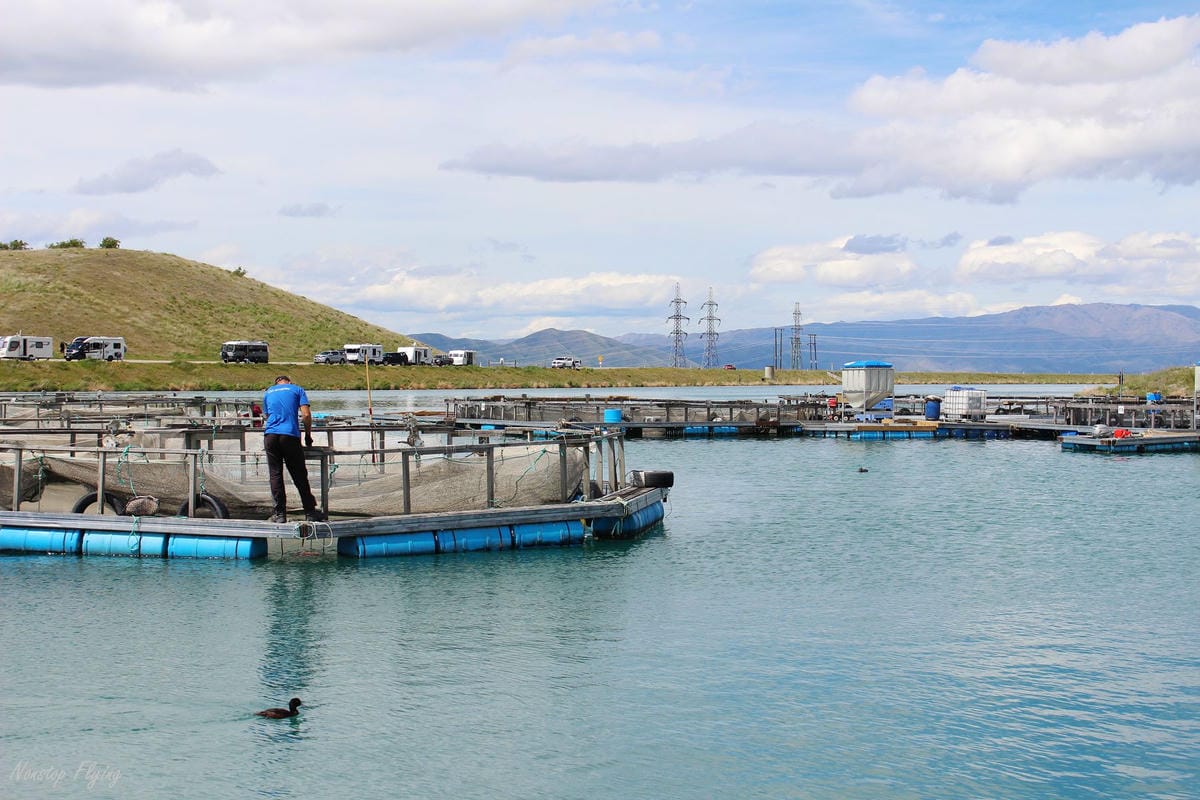 IMG_0844.jpg IMG_0844.jpg