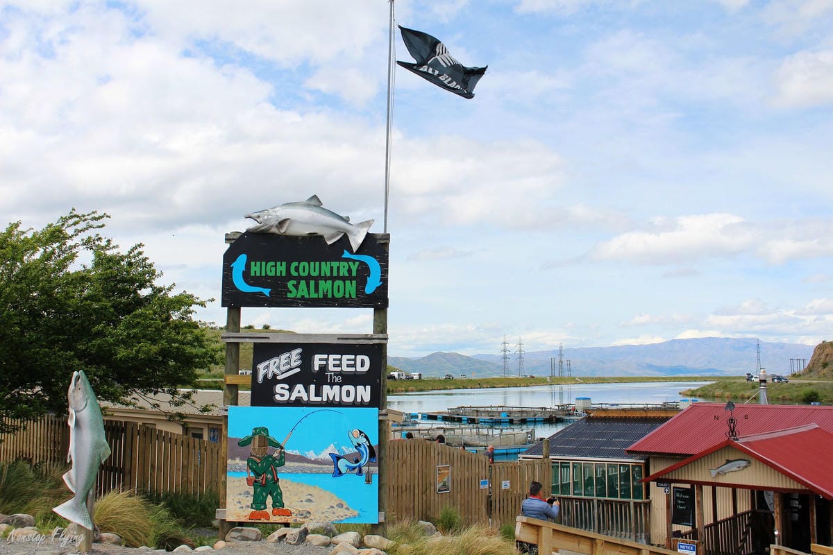 IMG_0839.jpg IMG_0839.jpg