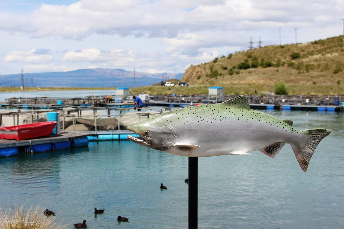 IMG_0845.jpg IMG_0845.jpg