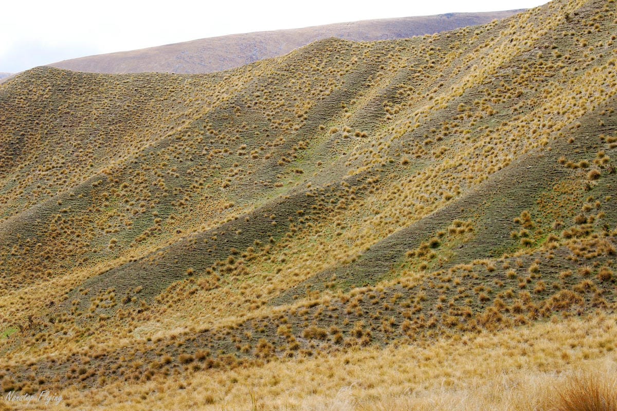 IMG_0807.jpg IMG_0807.jpg