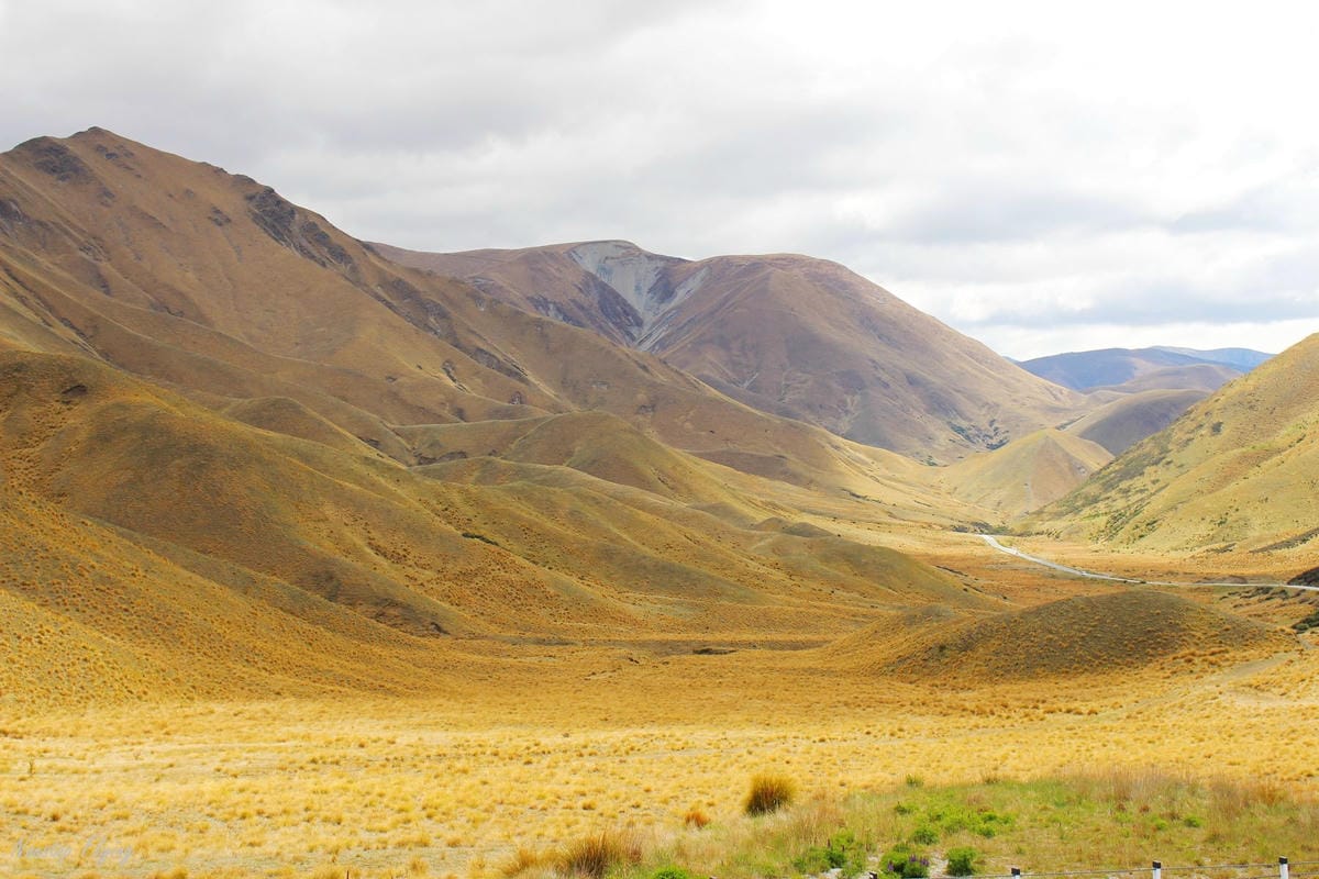 IMG_0800.jpg IMG_0800.jpg