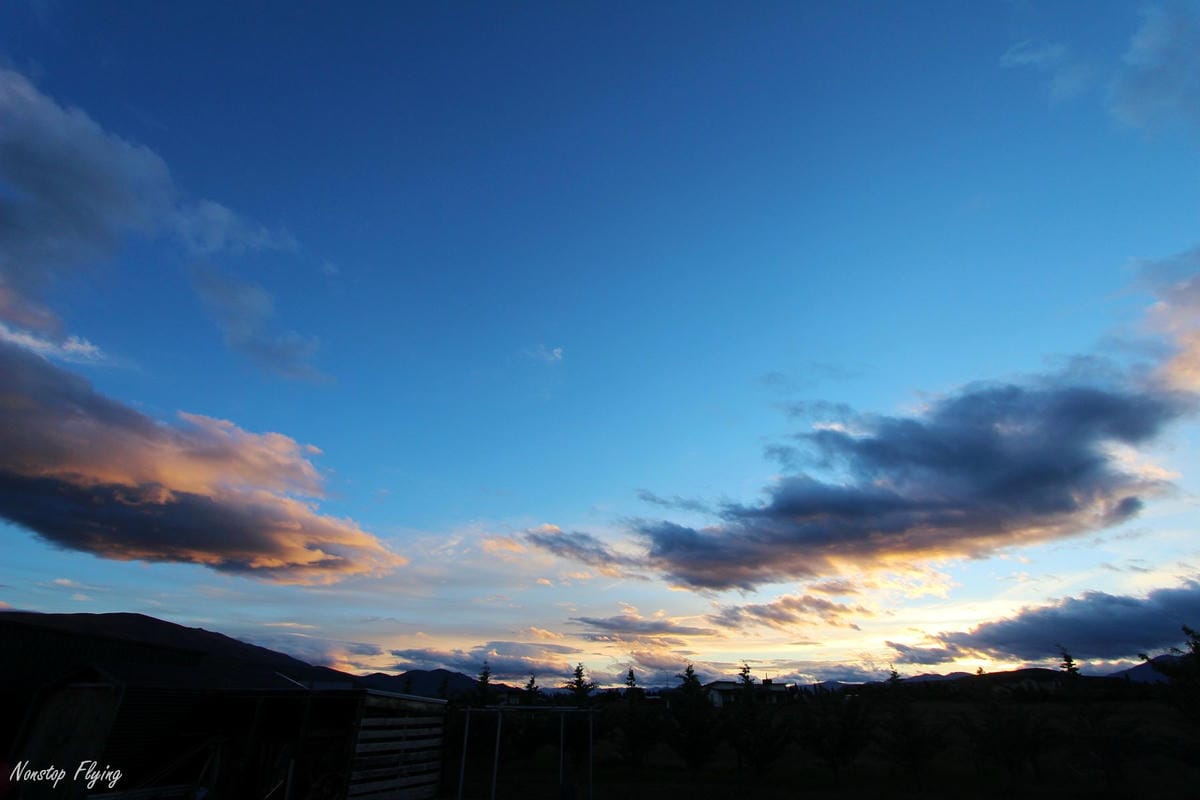 IMG_0950.jpg IMG_0950.jpg