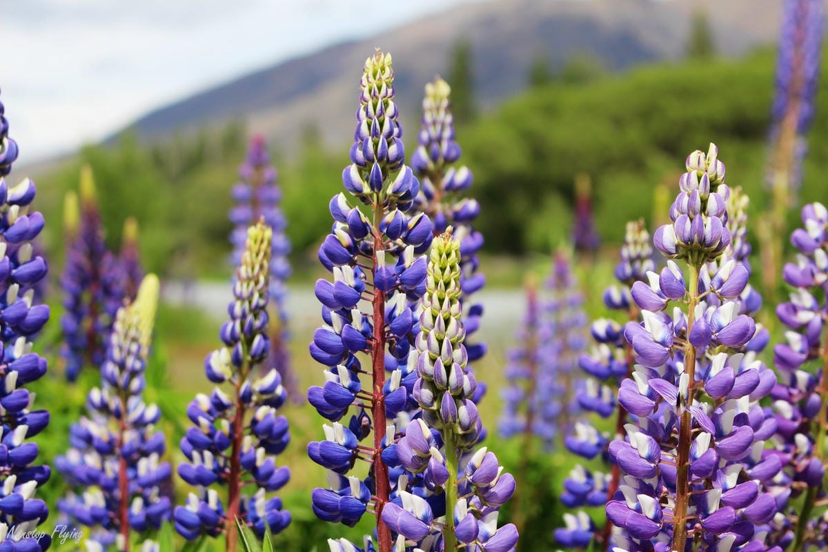 IMG_0808.jpg IMG_0808.jpg