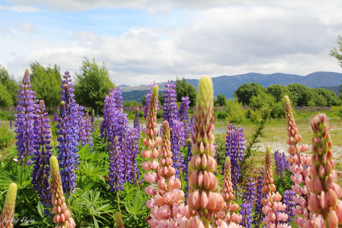 IMG_0818.jpg IMG_0818.jpg