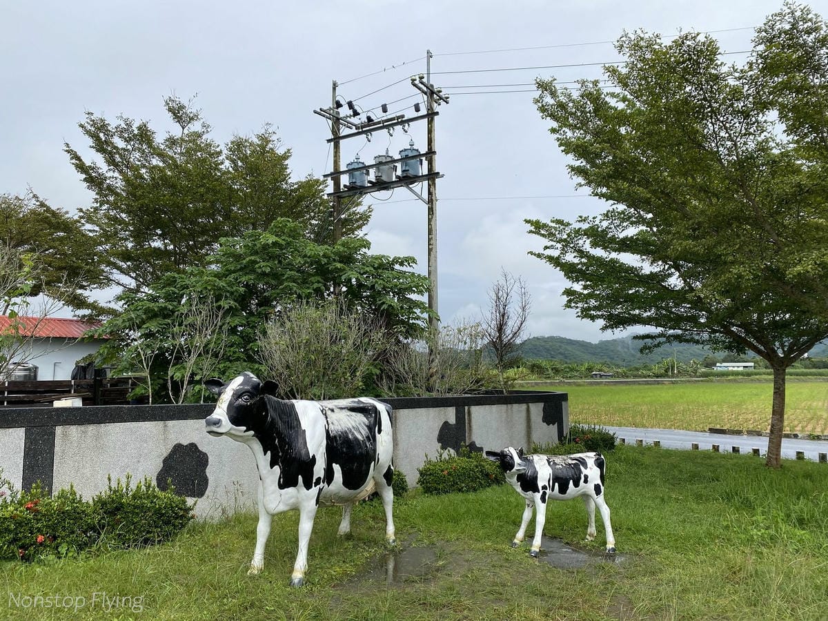 IMG_4812.jpg IMG_4812.jpg