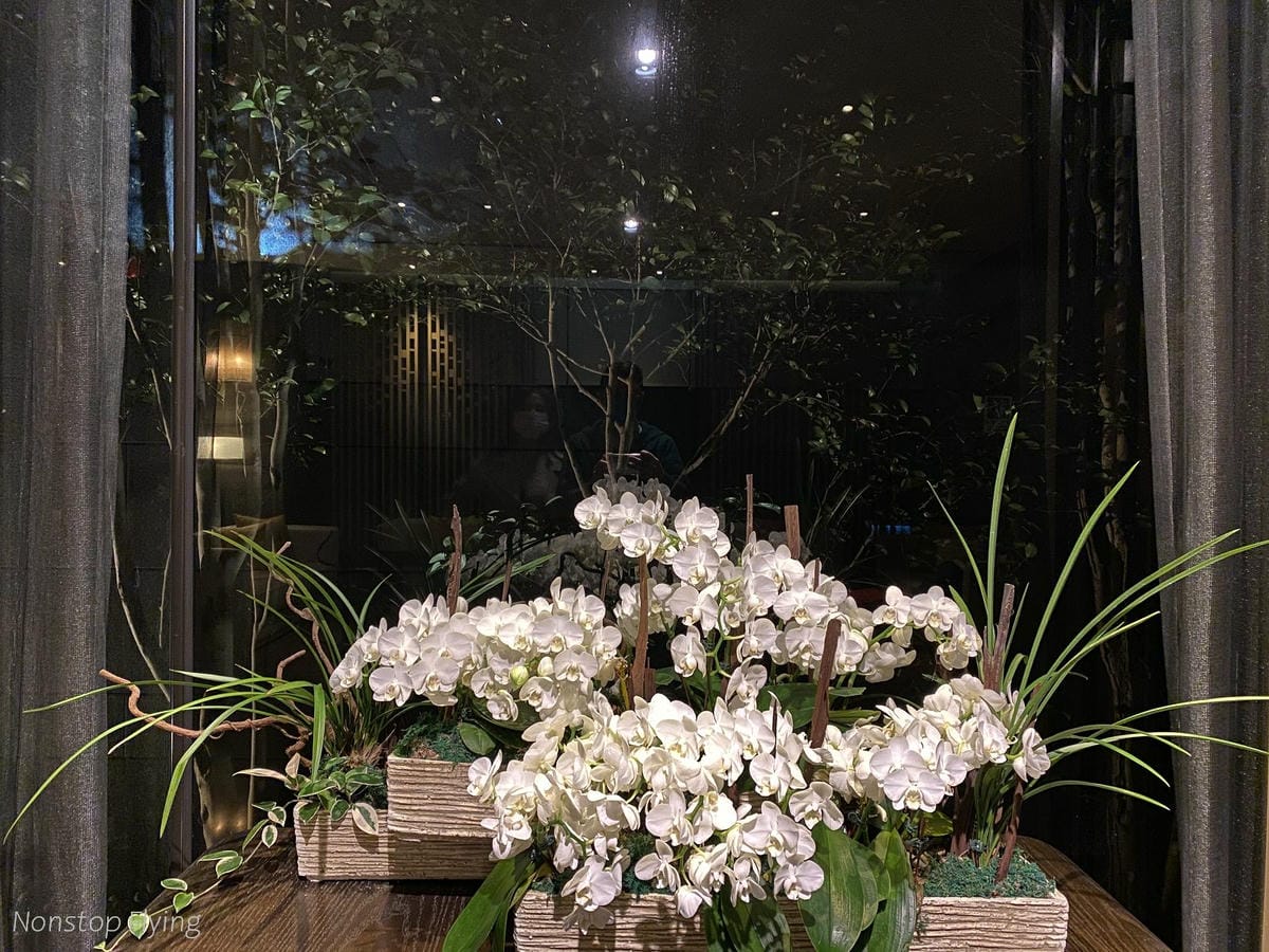 IMG_8695.jpg IMG_8695.jpg