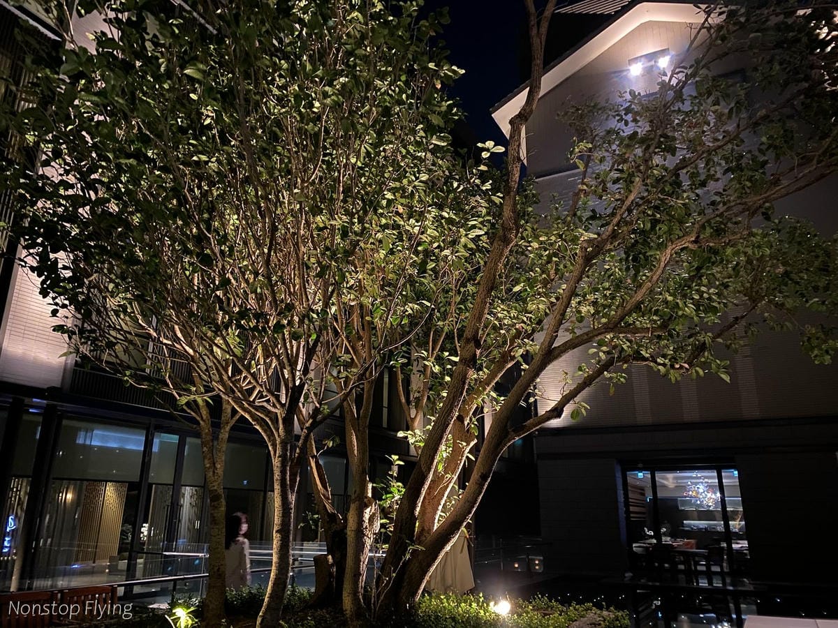 IMG_8691.jpg IMG_8691.jpg