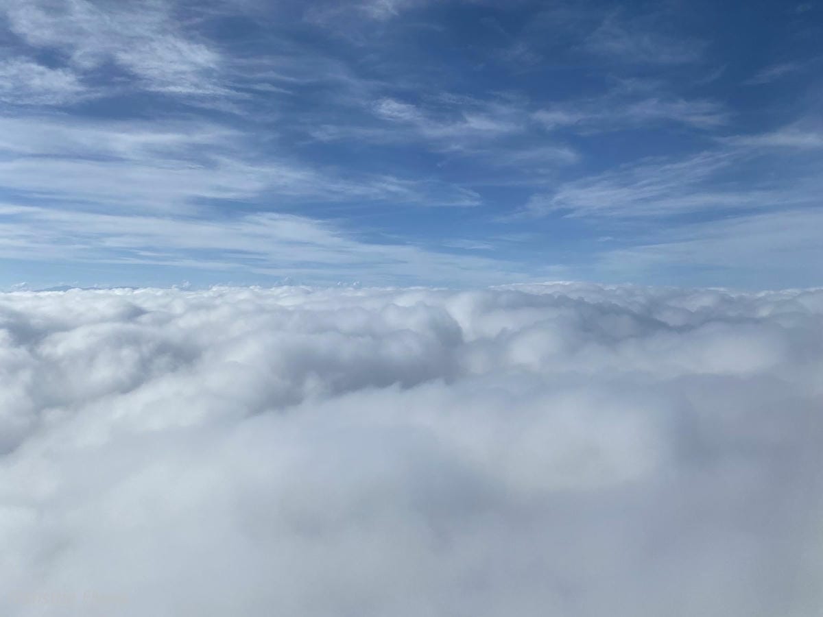 IMG_3084.jpg IMG_3084.jpg