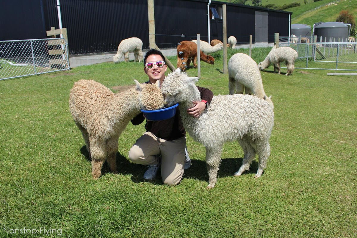 IMG_1484.jpg IMG_1484.jpg