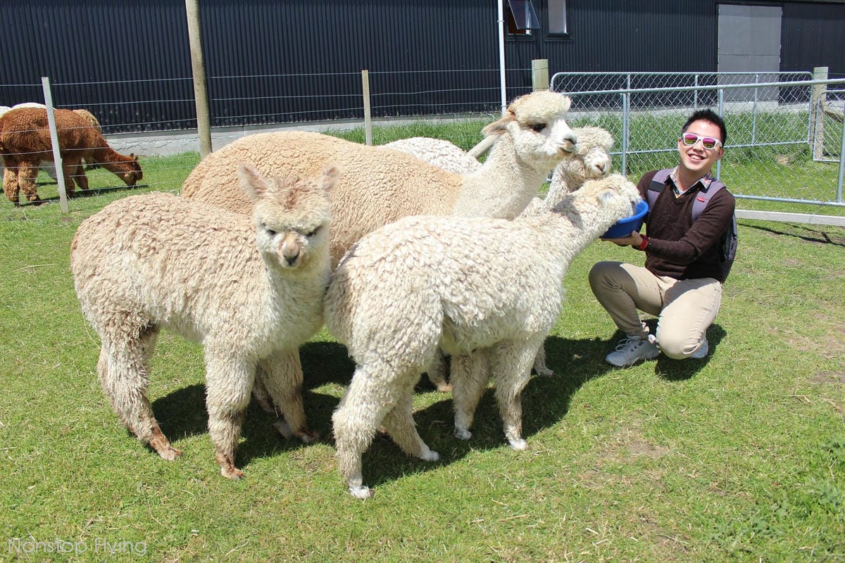 IMG_1470.jpg IMG_1470.jpg