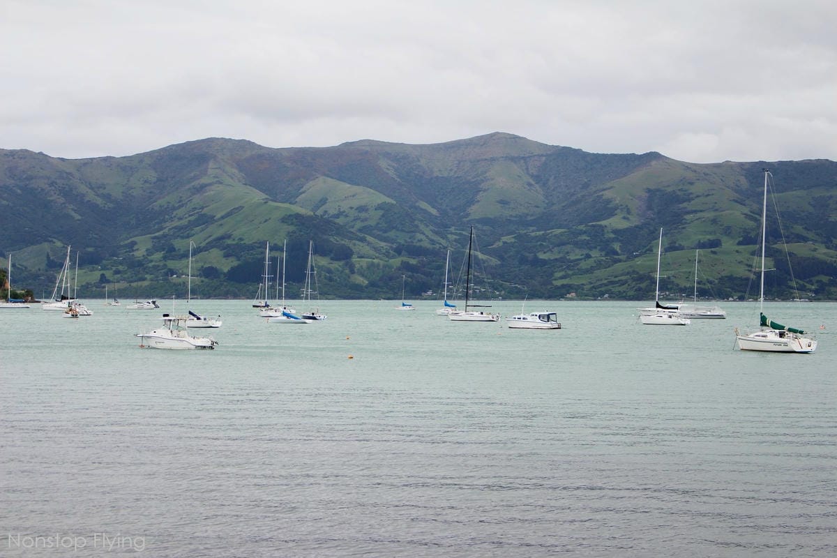 IMG_1571.jpg IMG_1571.jpg