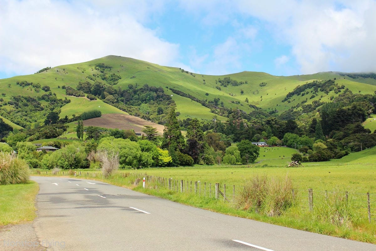 IMG_1309.jpg IMG_1309.jpg