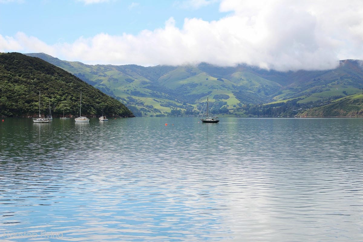 IMG_1304.jpg IMG_1304.jpg