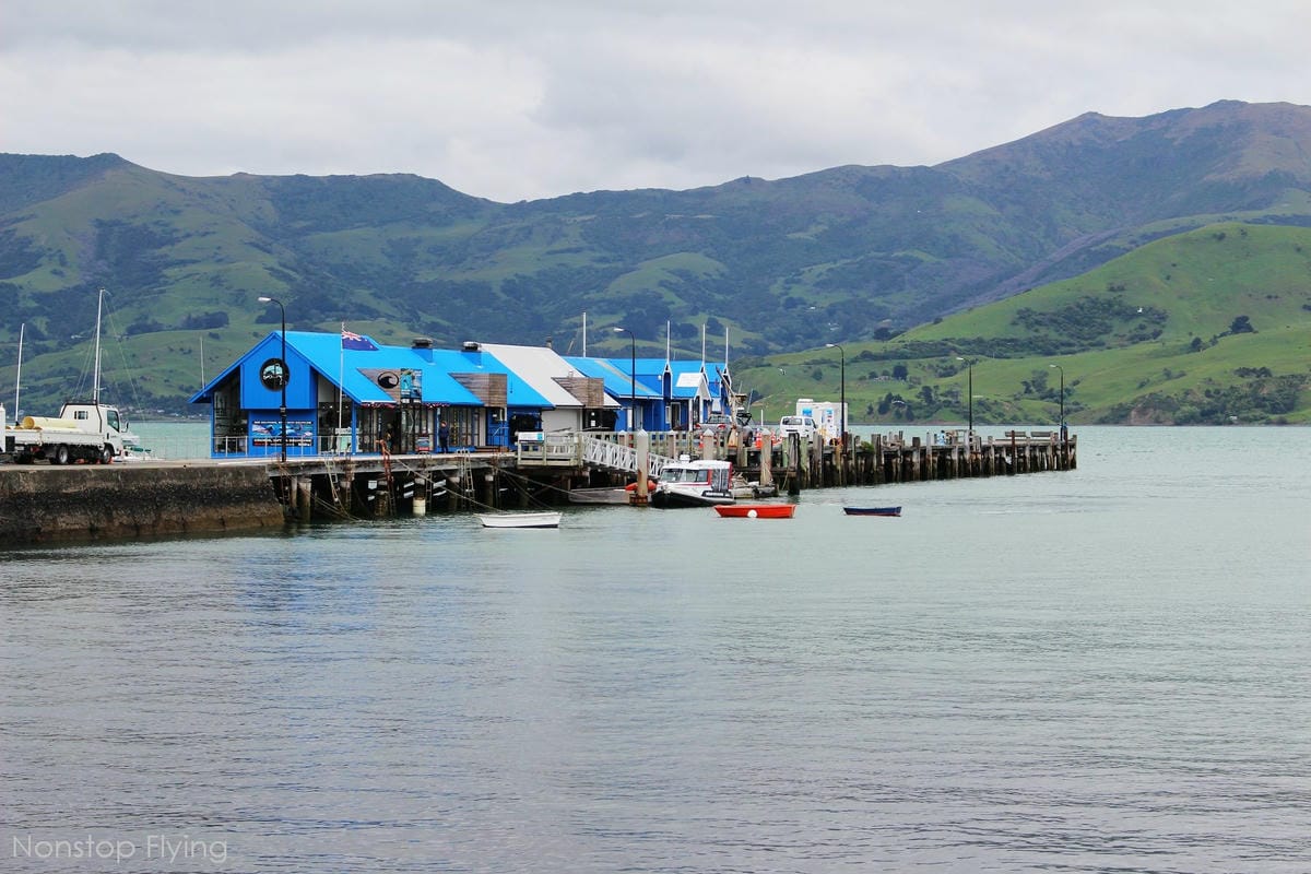 IMG_1567.jpg IMG_1567.jpg