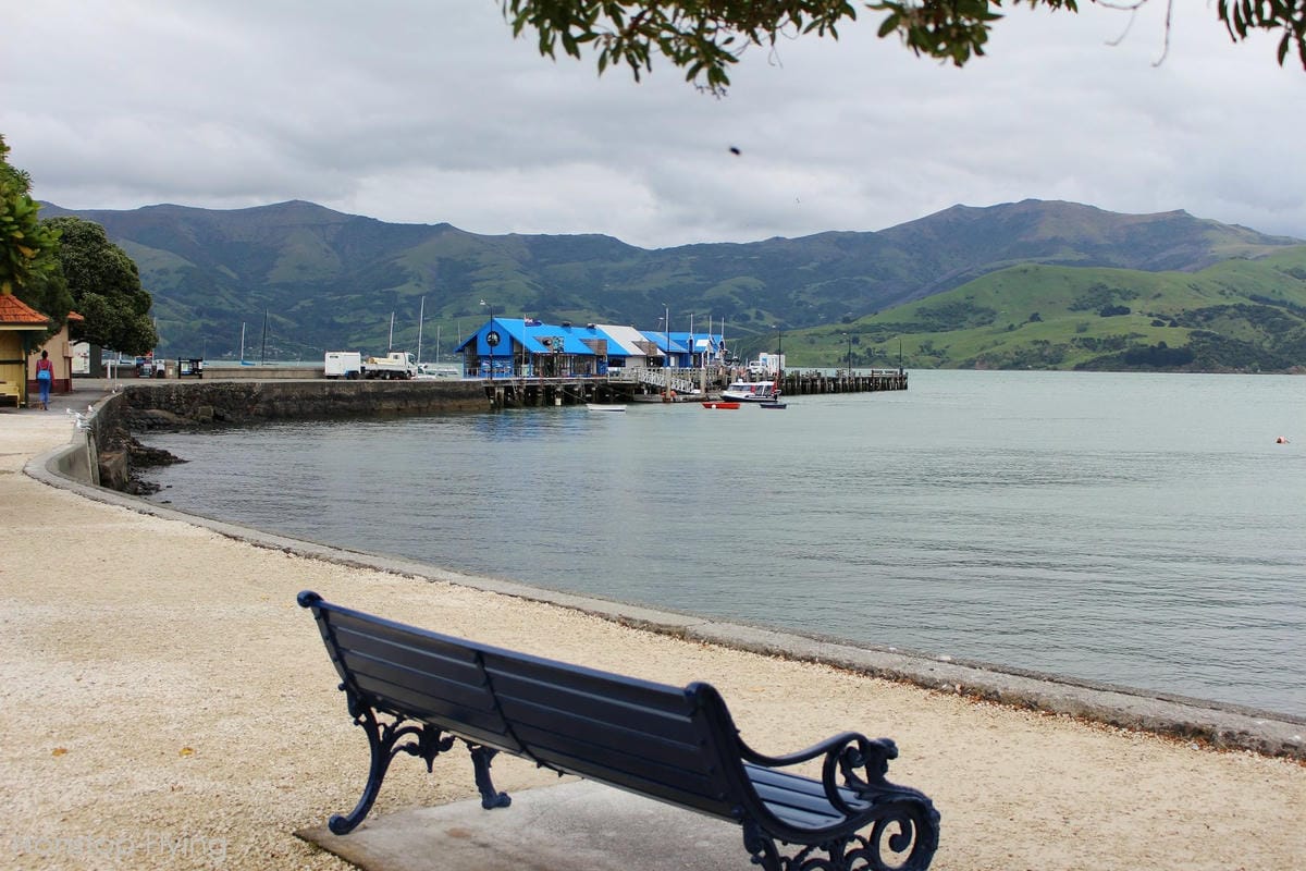 IMG_1564.jpg IMG_1564.jpg