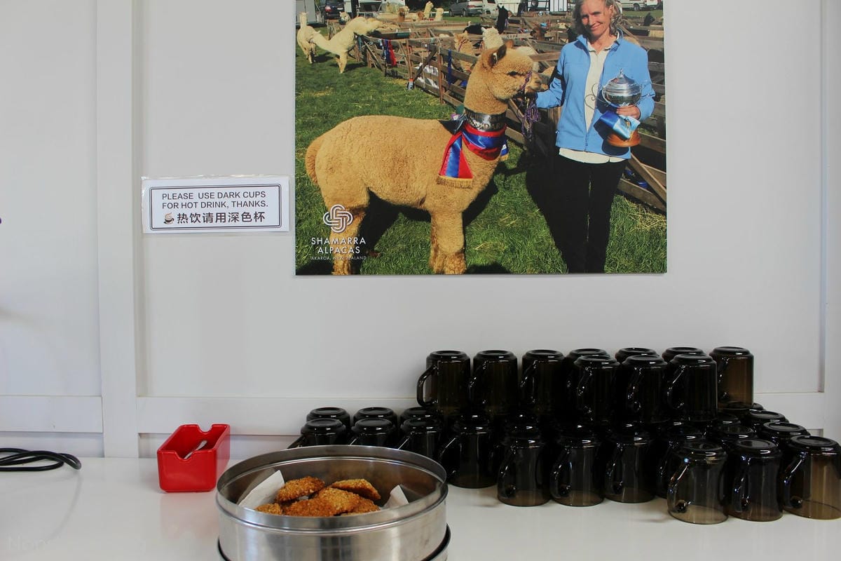 IMG_1518.jpg IMG_1518.jpg