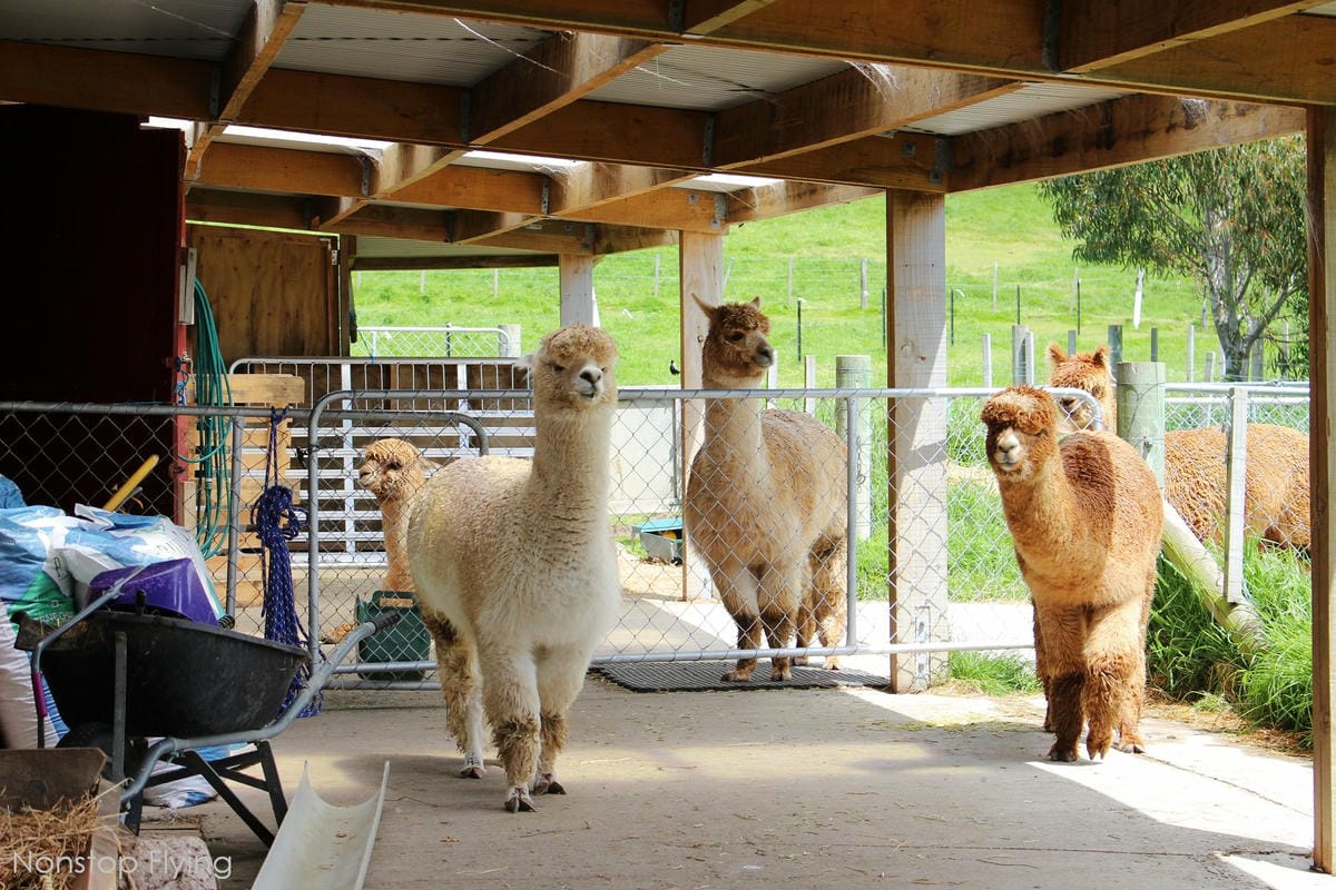 IMG_1375.jpg IMG_1375.jpg