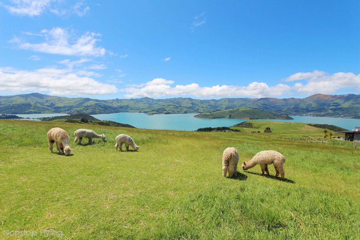 IMG_1506.jpg IMG_1506.jpg