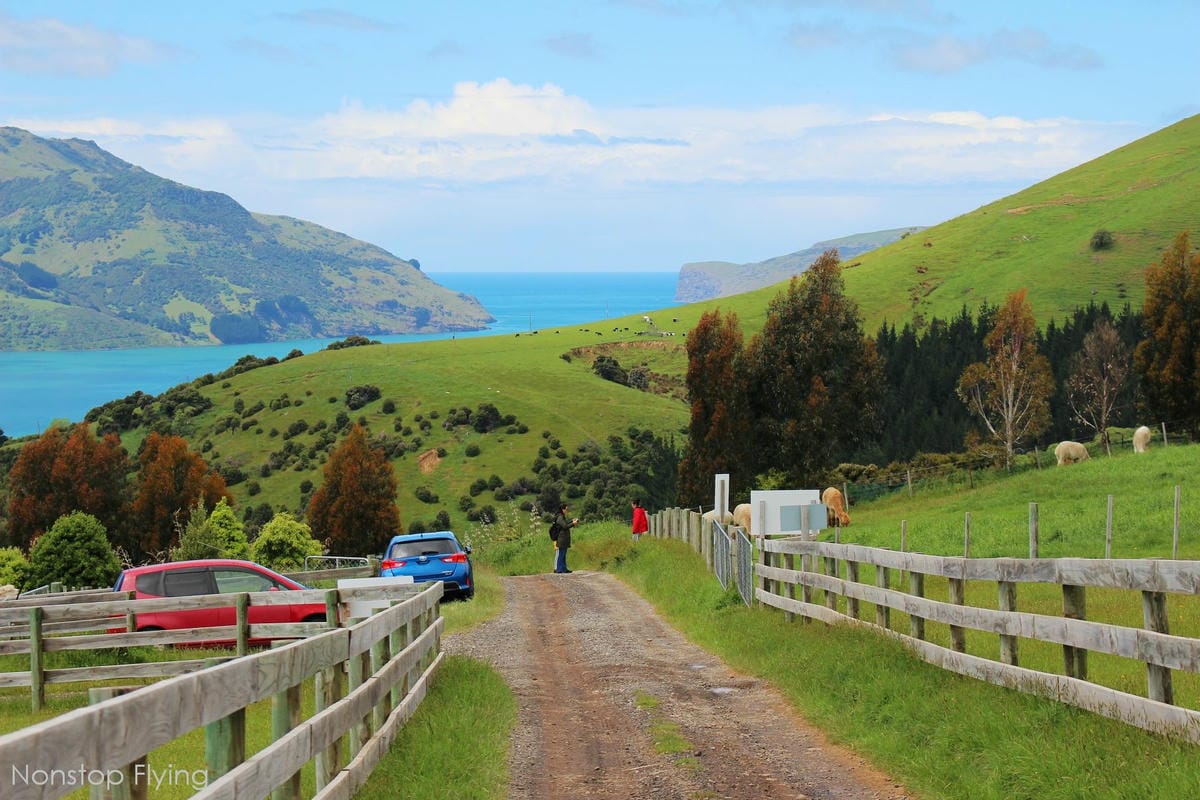 IMG_1346.jpg IMG_1346.jpg