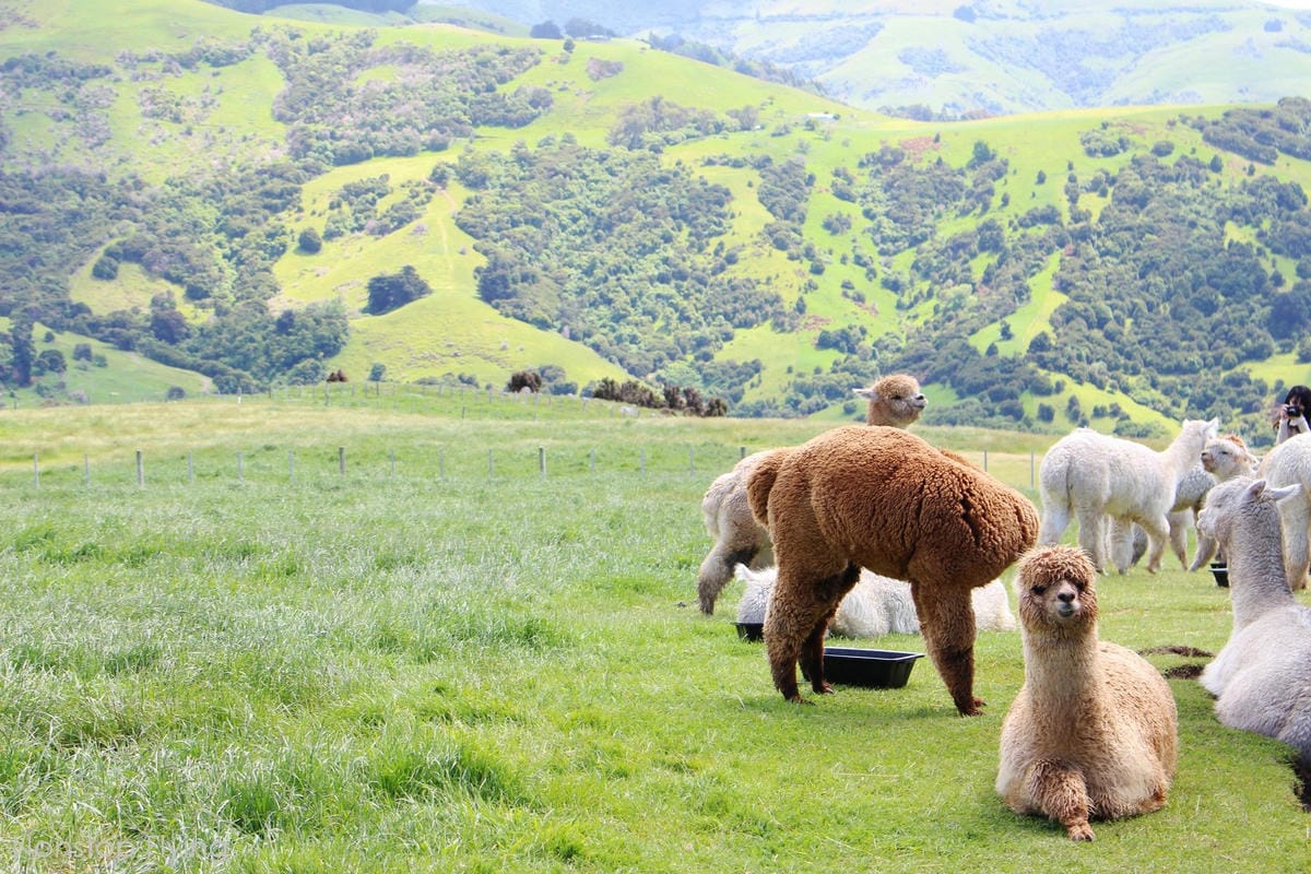 IMG_1377.jpg IMG_1377.jpg