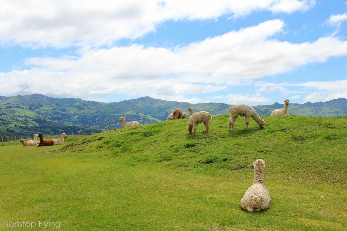 IMG_1334.jpg IMG_1334.jpg