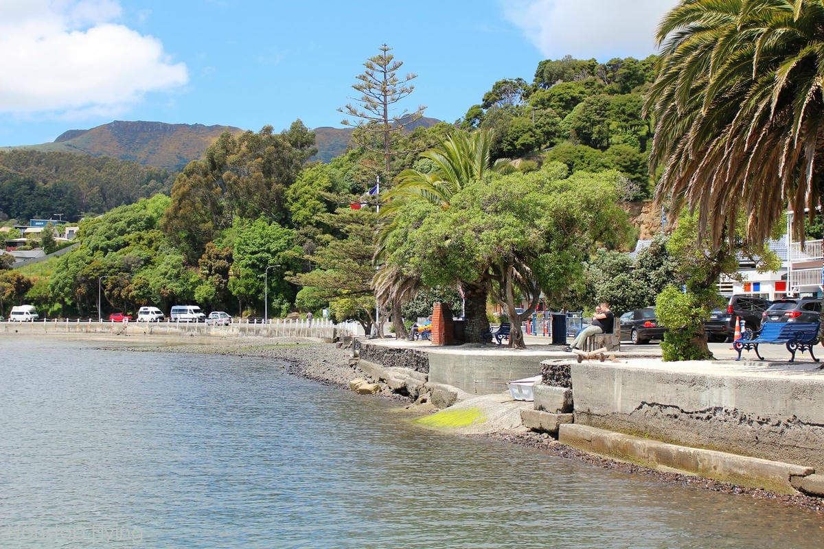 IMG_1539.jpg IMG_1539.jpg