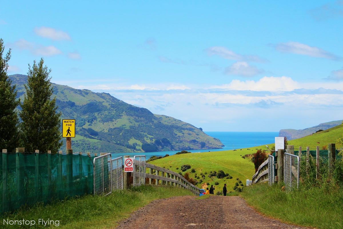 IMG_1333.jpg IMG_1333.jpg