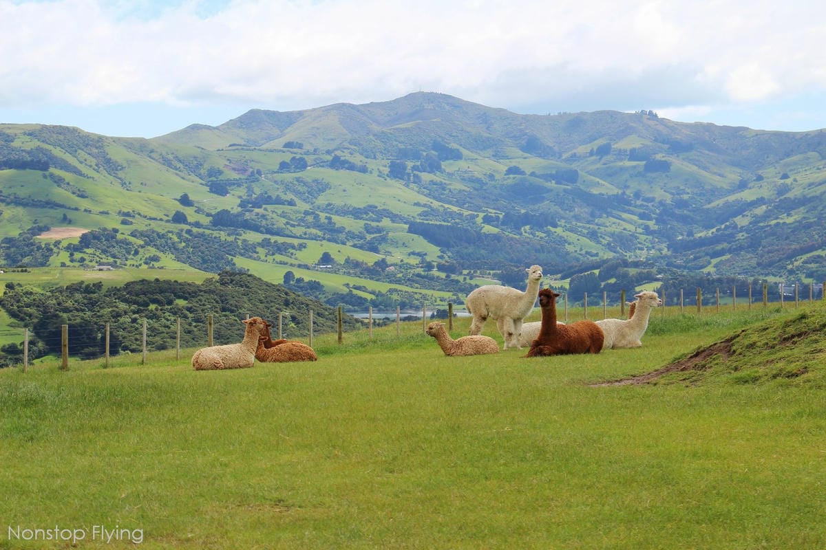 IMG_1343.jpg IMG_1343.jpg