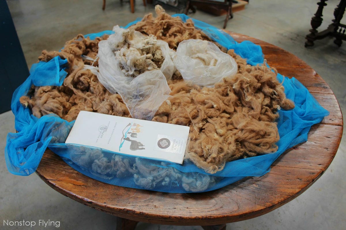 IMG_1373.jpg IMG_1373.jpg