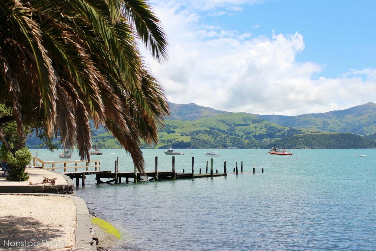 IMG_1531.jpg IMG_1531.jpg