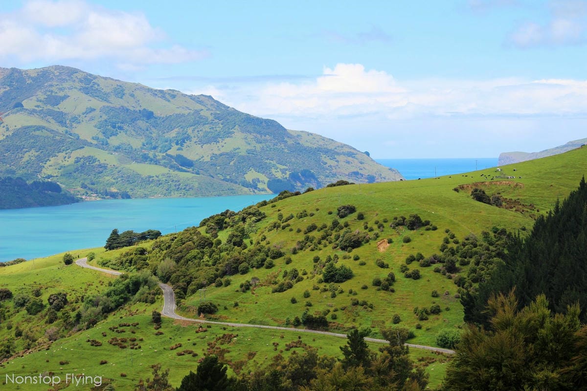 IMG_1351.jpg IMG_1351.jpg