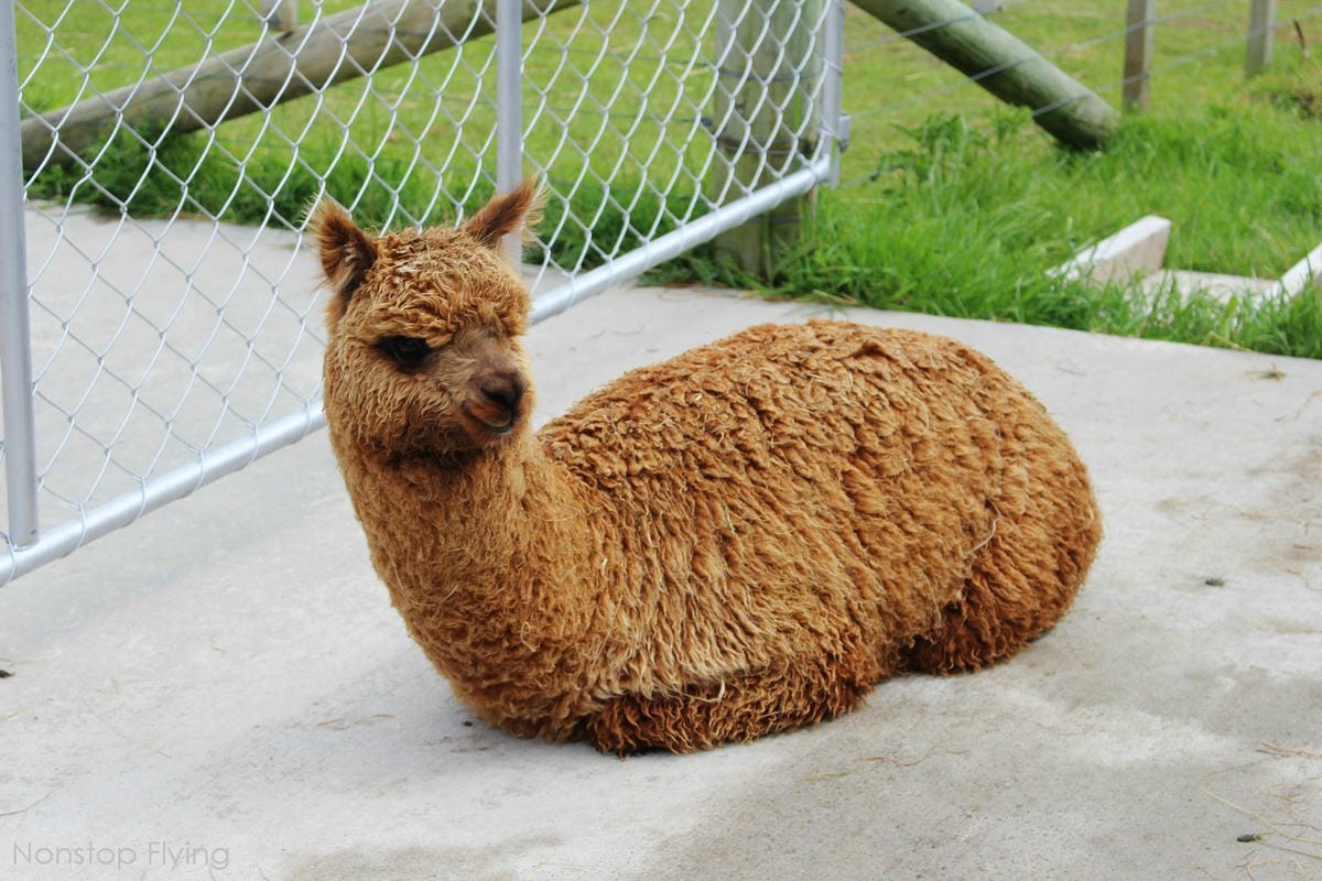 IMG_1366.jpg IMG_1366.jpg