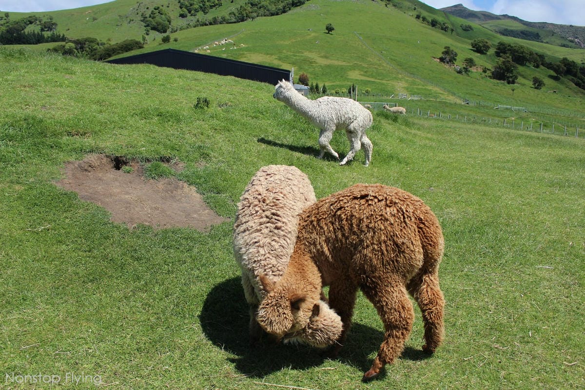 IMG_1503.jpg IMG_1503.jpg