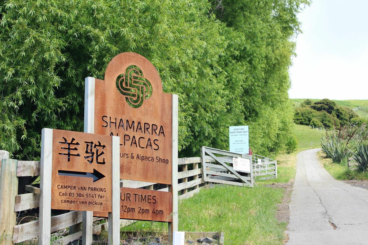 IMG_1331.jpg IMG_1331.jpg