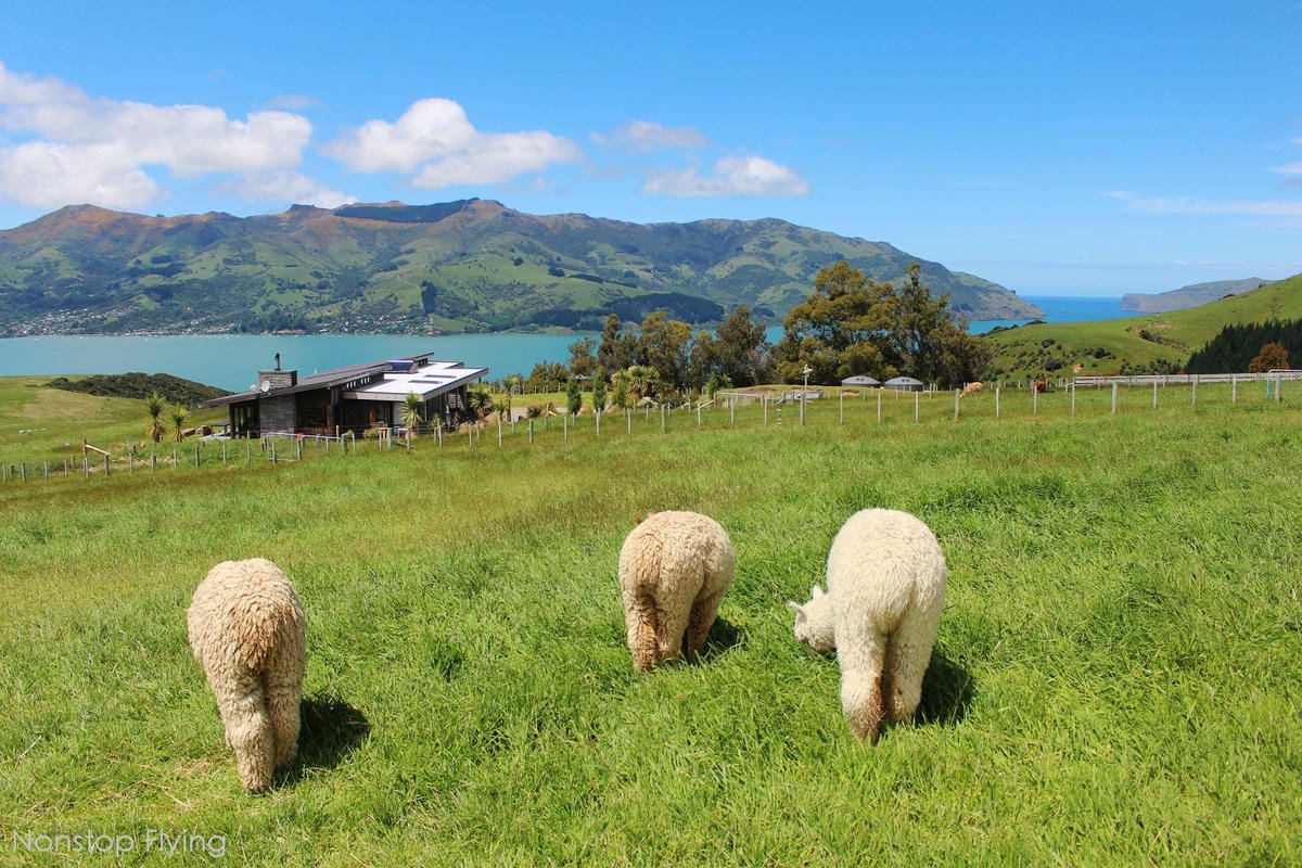 IMG_1504.jpg IMG_1504.jpg