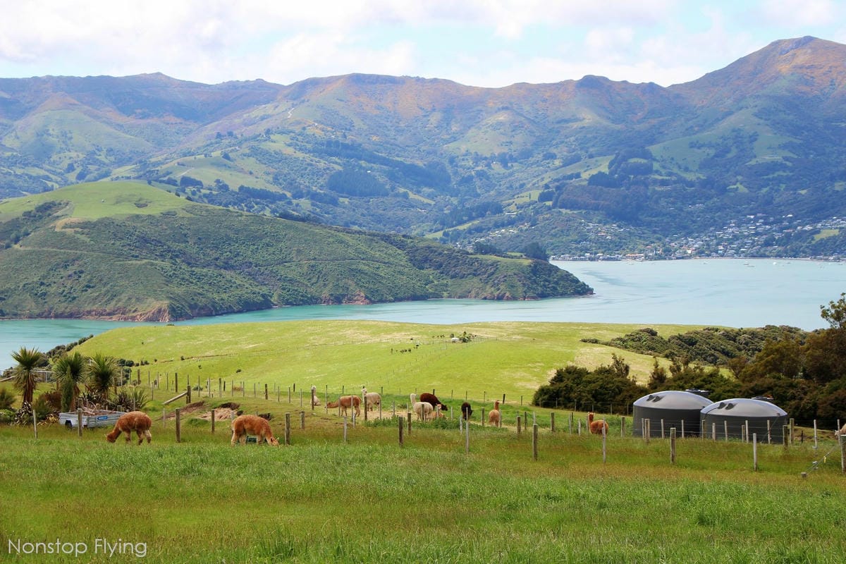 IMG_1345.jpg IMG_1345.jpg