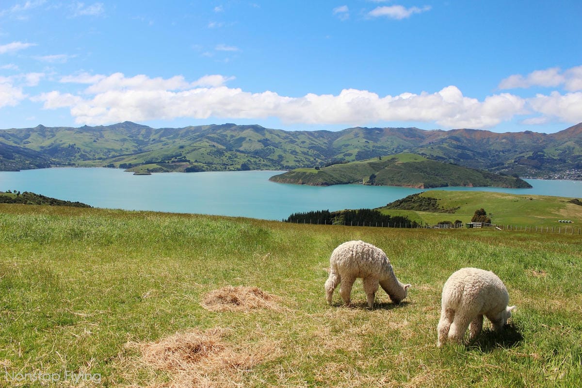 IMG_1498.jpg IMG_1498.jpg