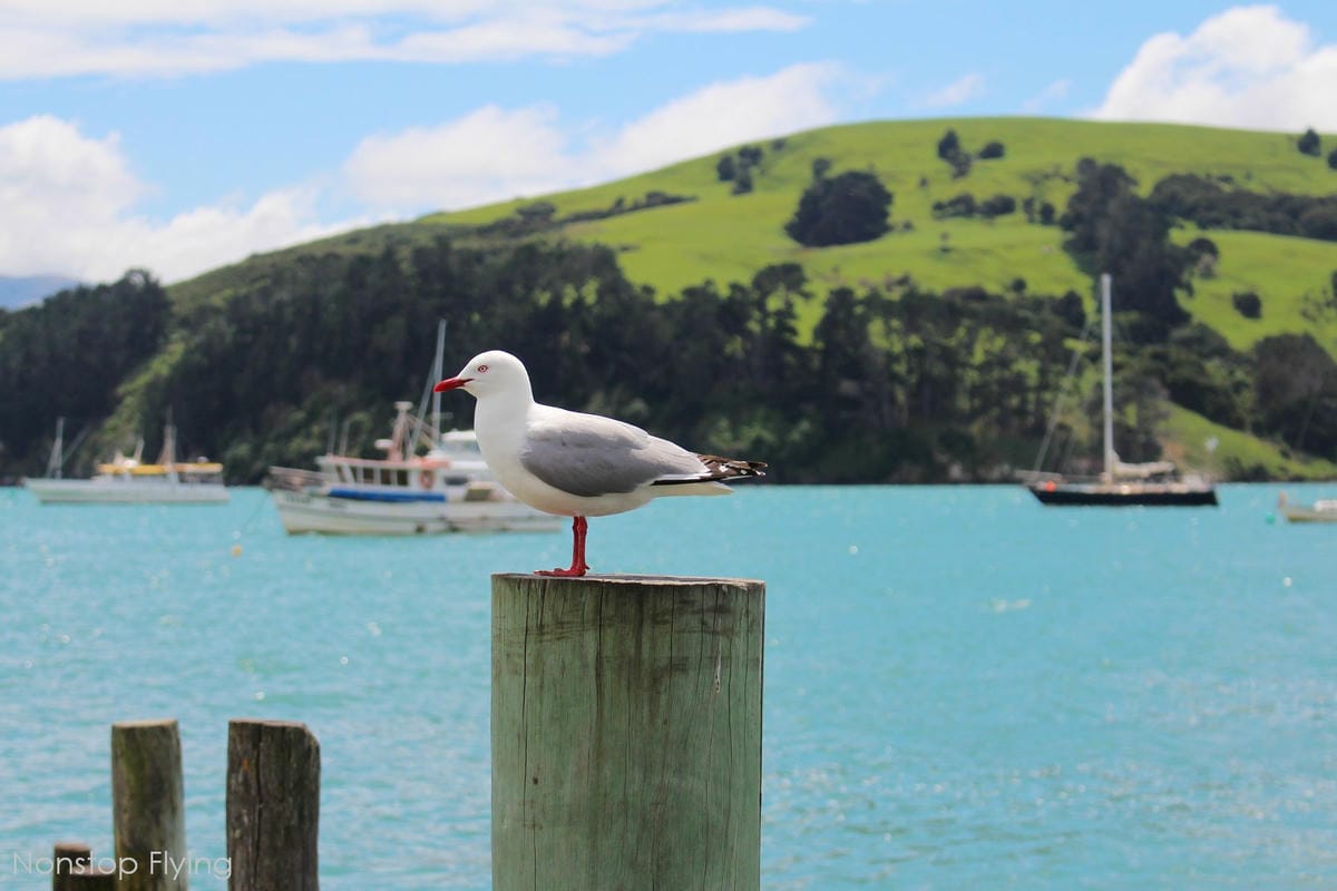 IMG_1556.jpg IMG_1556.jpg