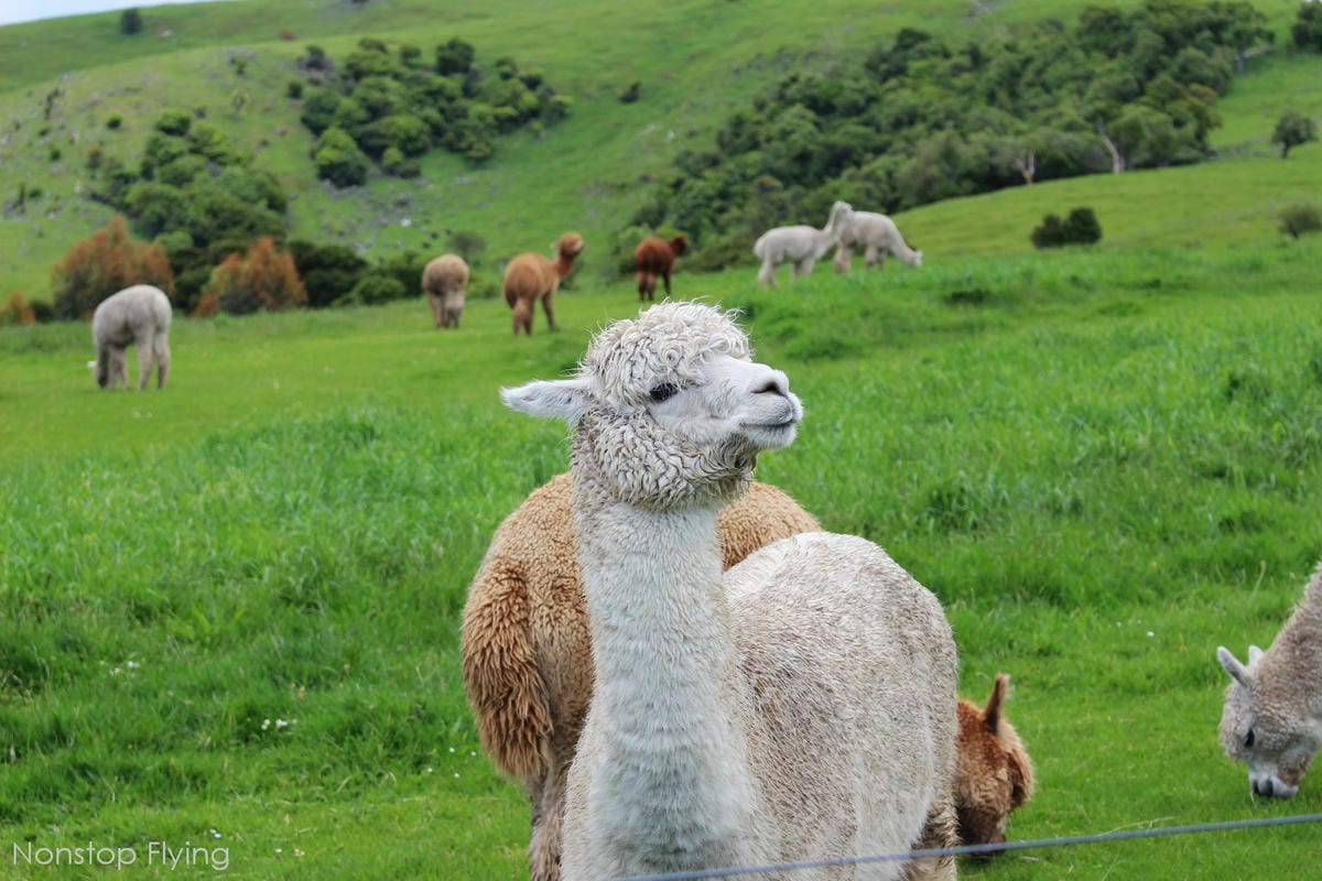 IMG_1352.jpg IMG_1352.jpg