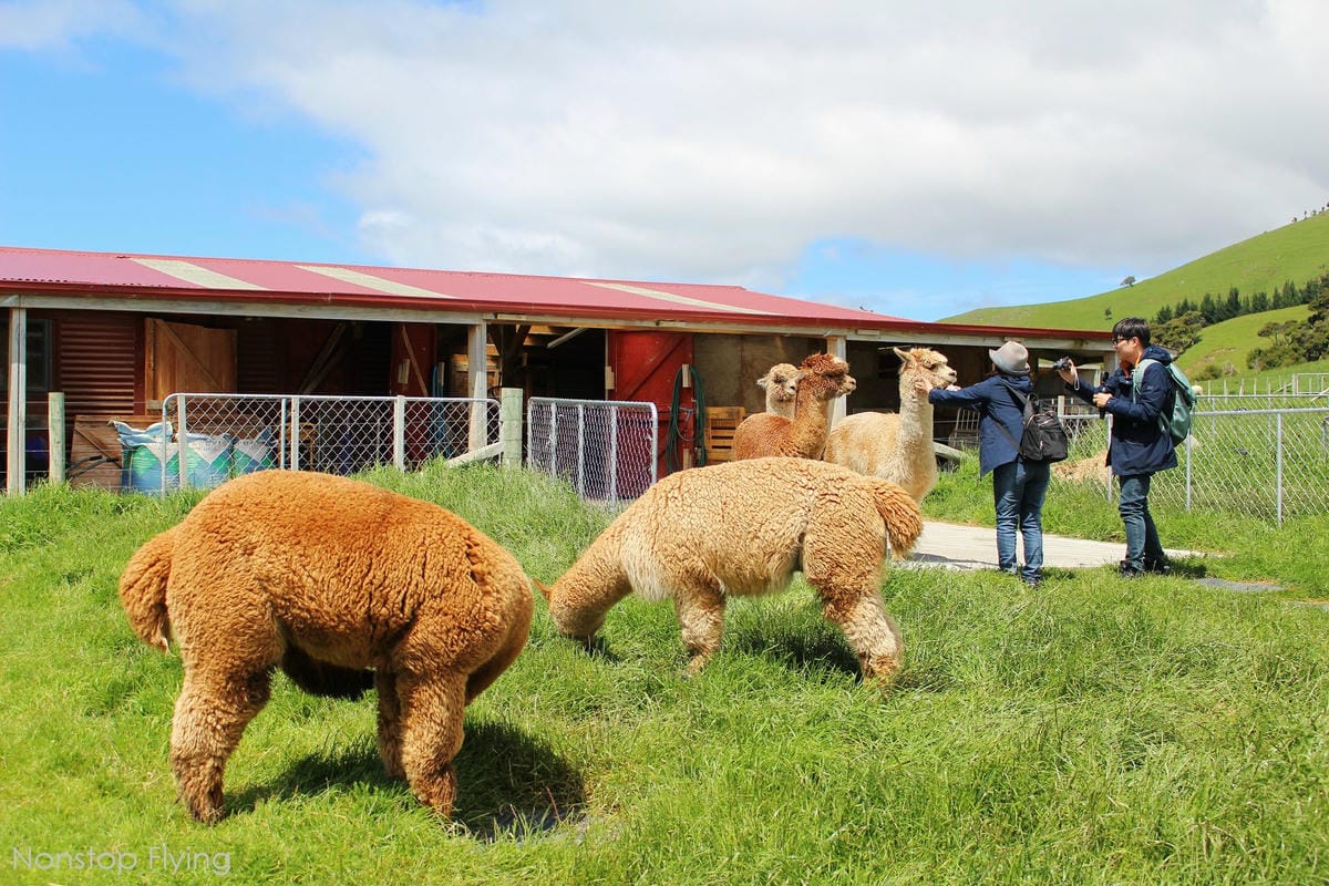 IMG_1378.jpg IMG_1378.jpg