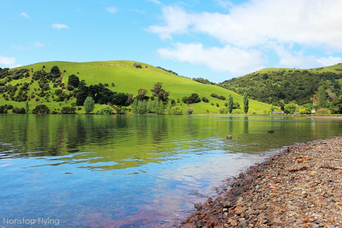 IMG_1328.jpg IMG_1328.jpg